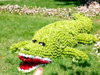 В Баку проводится Праздник цветов (ФОТО)