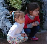 В Баку проводится Праздник цветов (ФОТО)