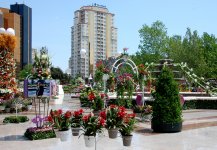 В Баку проводится Праздник цветов (ФОТО)
