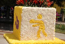 В Баку проводится Праздник цветов (ФОТО)