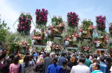 В Баку проводится Праздник цветов (ФОТО)