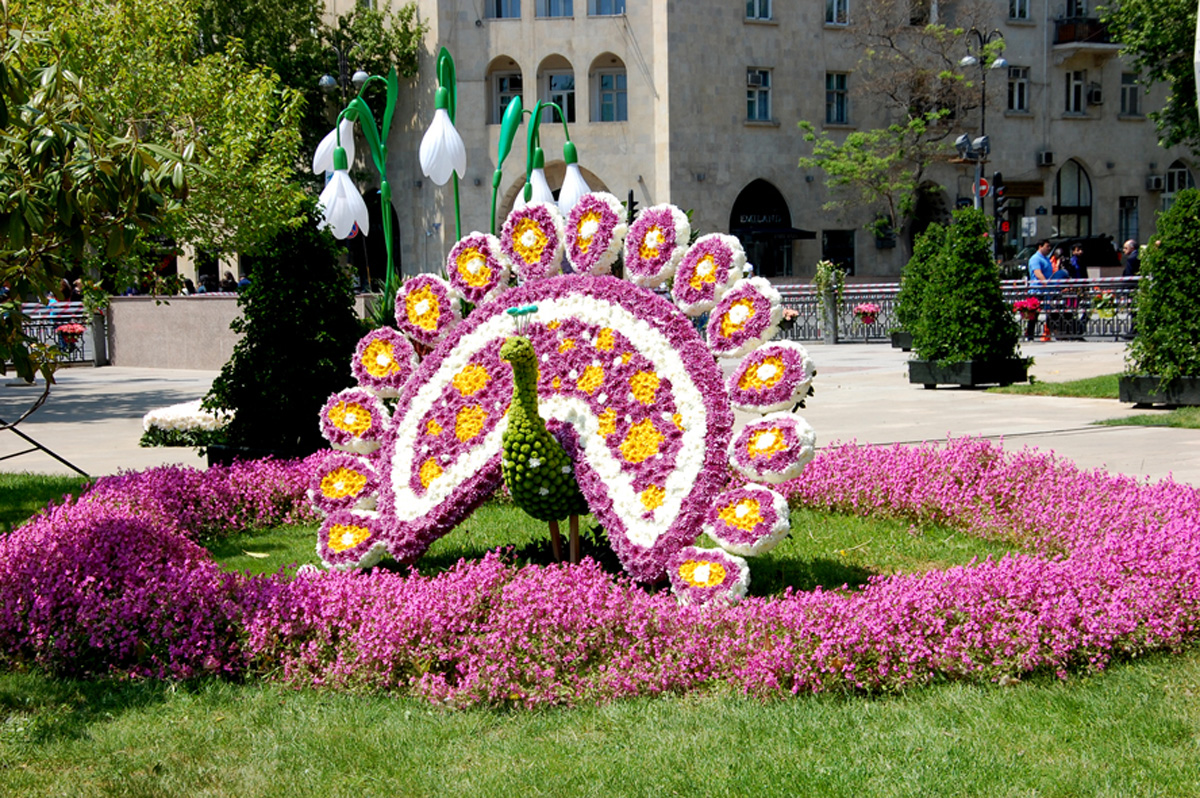 В Баку проводится Праздник цветов (ФОТО)