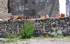 Хыналыг: уникальное горное село Кавказа (ФОТО)