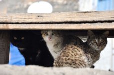 Хыналыг: уникальное горное село Кавказа (ФОТО)