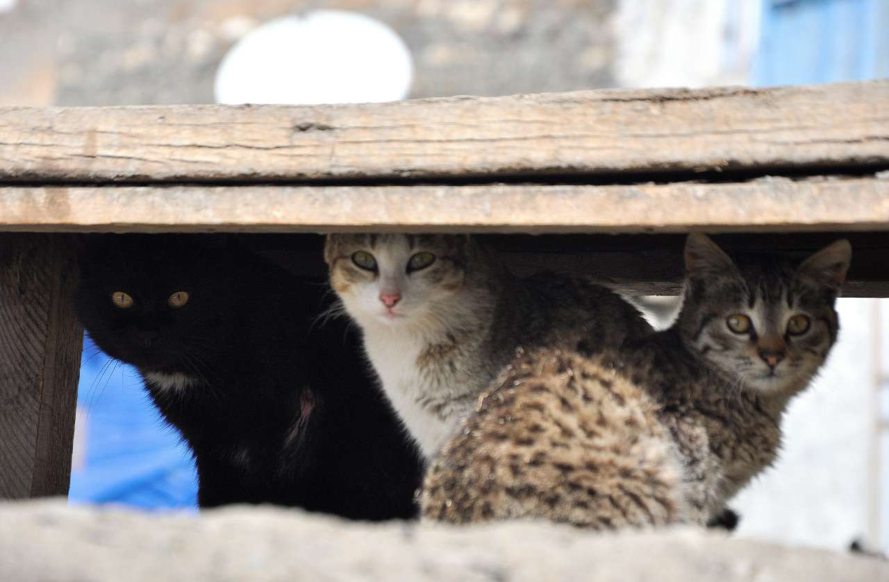 Хыналыг: уникальное горное село Кавказа (ФОТО)