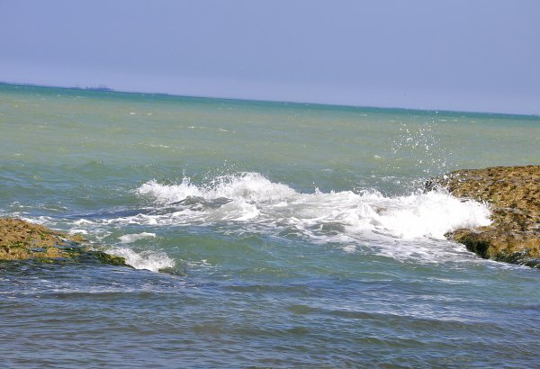 Сегодня отмечается День Каспия