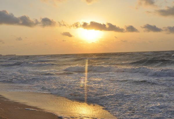 Продлен запрет на промышленный лов осетровых Каспия