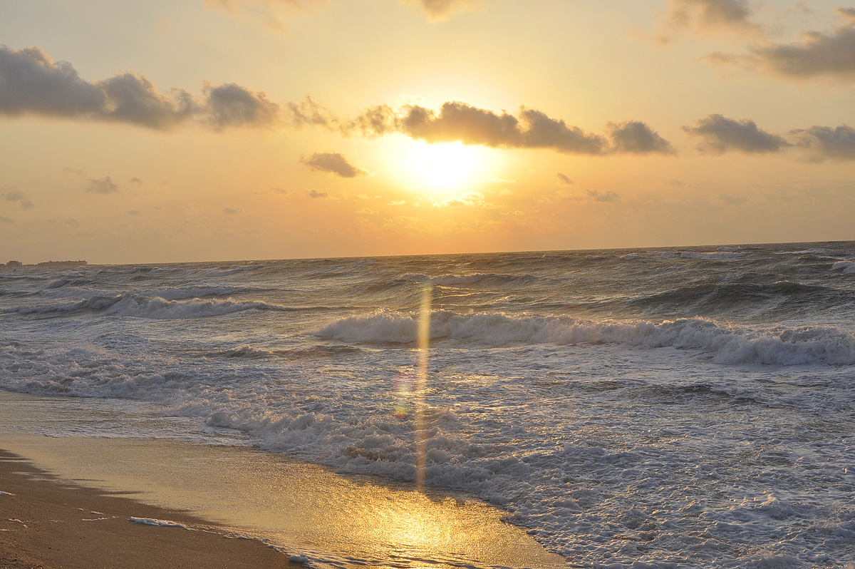 Продлен запрет на промышленный лов осетровых Каспия