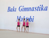 В Баку прошли фестивальные соревнования по художественной гимнастике (ФОТО)