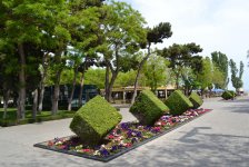 Баку-2015: Вновь о Приморском бульваре (ФОТО)