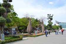 Баку-2015: Вновь о Приморском бульваре (ФОТО)