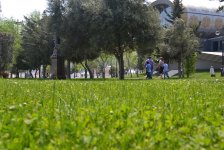 Баку-2015: Вновь о Приморском бульваре (ФОТО)