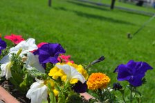 Баку-2015: Вновь о Приморском бульваре (ФОТО)