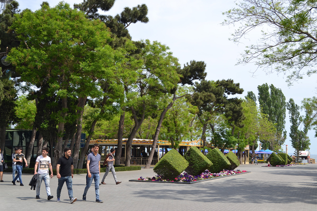 Баку-2015: Вновь о Приморском бульваре (ФОТО)
