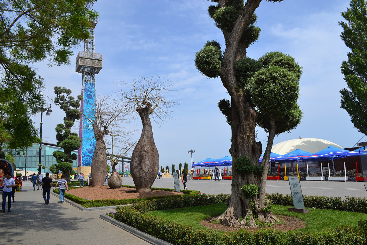 Баку-2015: Вновь о Приморском бульваре (ФОТО)