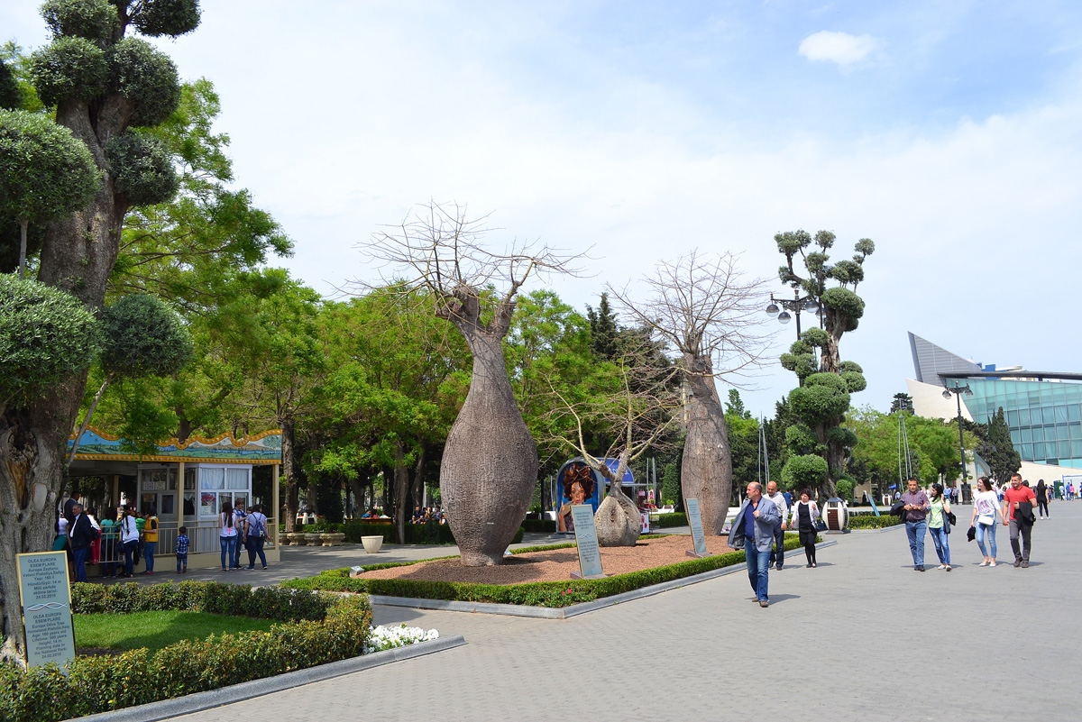 Баку-2015: Вновь о Приморском бульваре (ФОТО)