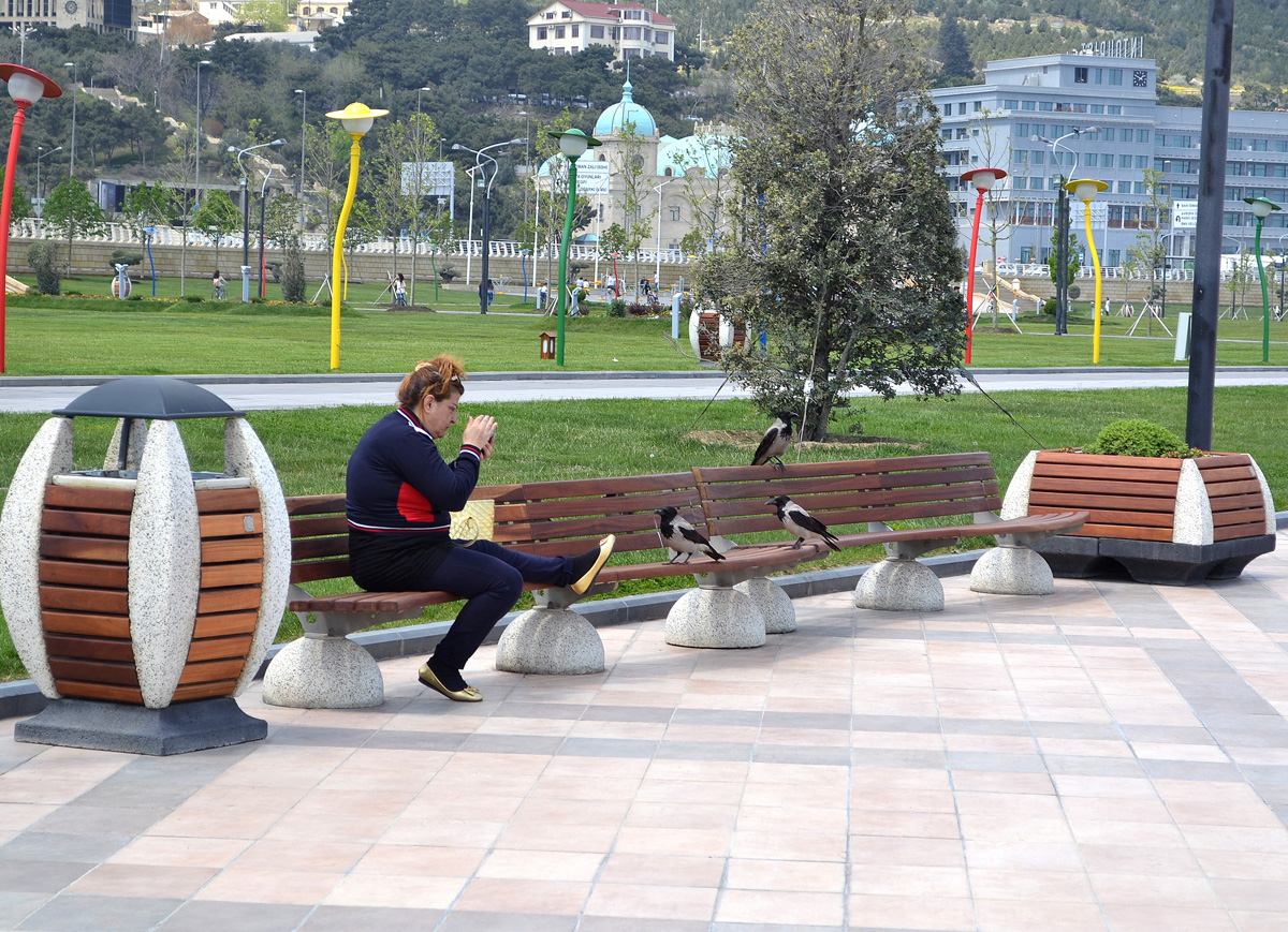 Баку-2015: Вновь о Приморском бульваре (ФОТО)