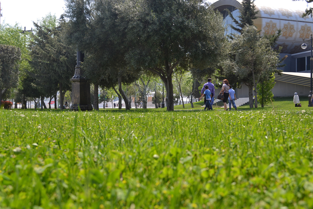 Баку-2015: Вновь о Приморском бульваре (ФОТО)