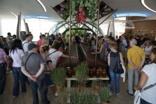 Национальный павильон Азербайджана на "Milan Expo 2015" очень популярен (ФОТО, ВИДЕО - часть I)