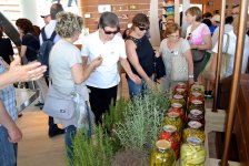 Национальный павильон Азербайджана на "Milan Expo 2015" очень популярен (ФОТО, ВИДЕО - часть I)