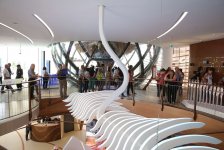 Национальный павильон Азербайджана на "Milan Expo 2015" очень популярен (ФОТО, ВИДЕО - часть I)