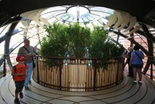 Национальный павильон Азербайджана на "Milan Expo 2015" очень популярен (ФОТО, ВИДЕО - часть I)