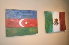 Мексиканская художница показала в Баку "Симфонию цвета" (ФОТО)