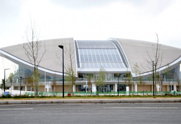 Назначен новый вице-президент  Федерации водных видов спорта Азербайджана