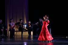 В Центре Гейдара Алиева представлено волшебное шоу фламенко "Кармен" (ФОТО)