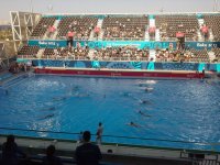 Начался матч по водному поло между сборными Азербайджана и Румынии (ФОТО)