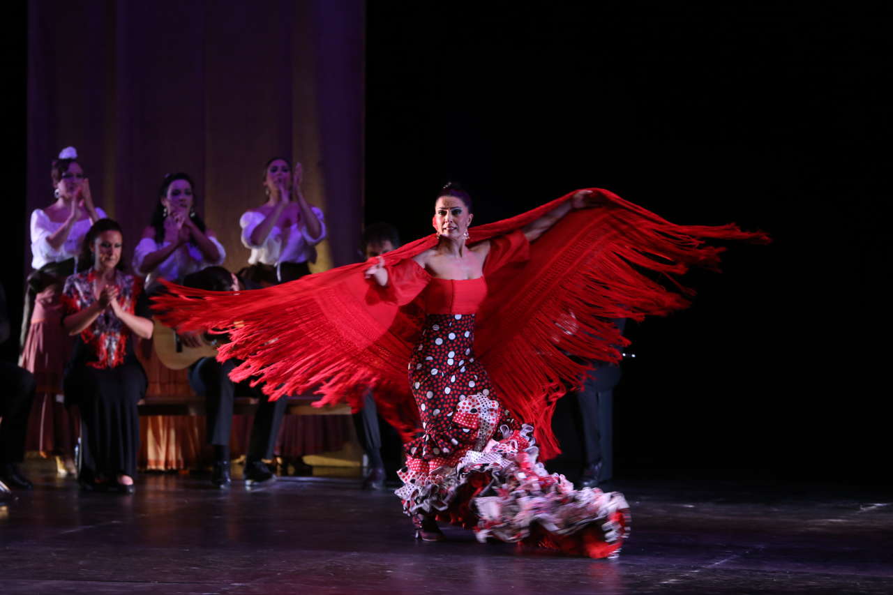 В Центре Гейдара Алиева представлено волшебное шоу фламенко "Кармен" (ФОТО)