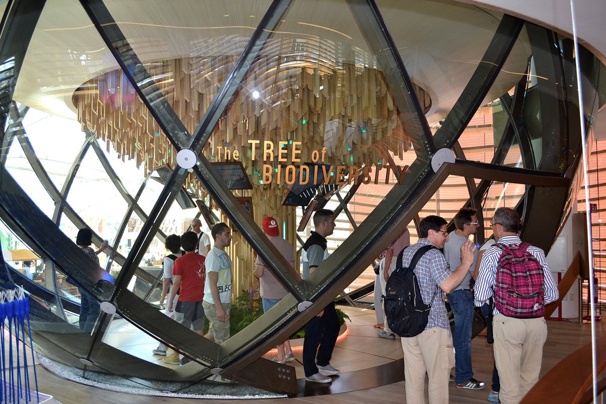 Нам очень понравились азербайджанская кухня: контент-менеджер Expo-2015 (ФОТО - часть V)