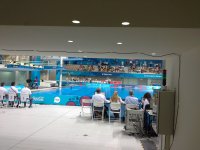 На Евроиграх стартовали соревнования по прыжкам в воду