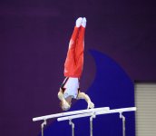 Историческая победа азербайджанской спортивной гимнастики в девятый день Евроигр (ФОТОСЕССИЯ)