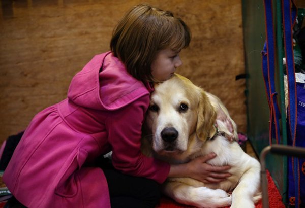 Я не умею говорить. Ты мой голос. Животные на улицах Баку (ФОТО)