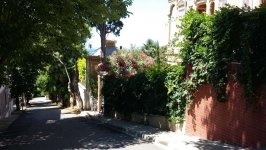 Поездка к Принцевым островам, или экологичный Бююкада (ФОТО, часть 2)