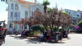 Поездка к Принцевым островам, или экологичный Бююкада (ФОТО, часть 2)