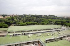 Лейла Алиева встретилась в Риме с генеральным директором FAO (ФОТО)