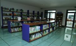 Лейла Алиева встретилась в Риме с генеральным директором FAO (ФОТО)