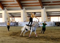 Азербайджан начал с победы - первый чемпионат Европы по поло (ФОТО)