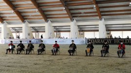 Азербайджан начал с победы - первый чемпионат Европы по поло (ФОТО)