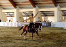 Азербайджан начал с победы - первый чемпионат Европы по поло (ФОТО)