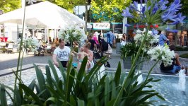 В гостях у Европы: "Жители заболоченных лесов" Германии (ФОТО, часть 4)