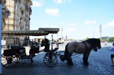 В гостях у Европы: "Жители заболоченных лесов" Германии (ФОТО, часть 4)