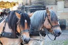 В гостях у Европы: "Жители заболоченных лесов" Германии (ФОТО, часть 4)