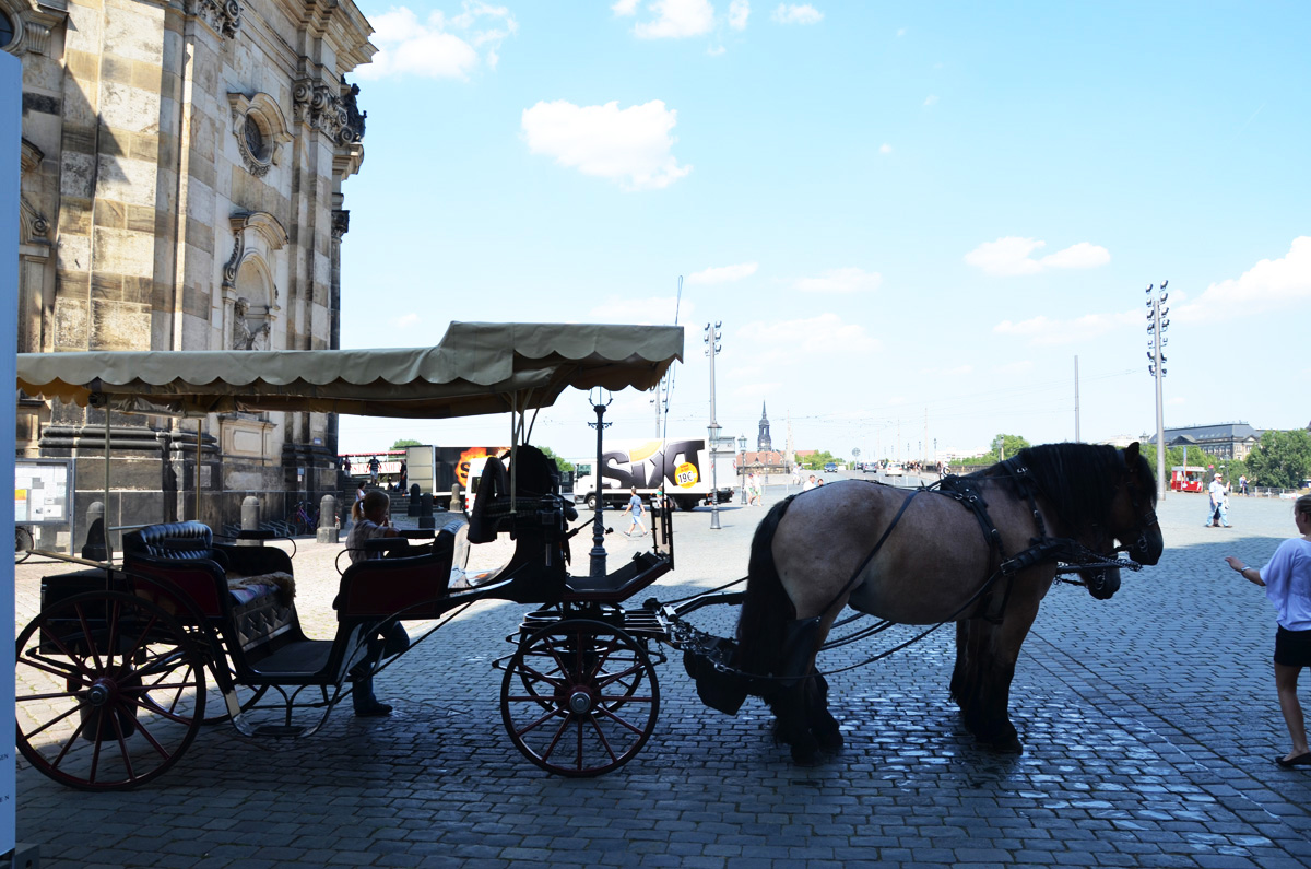 В гостях у Европы: "Жители заболоченных лесов" Германии (ФОТО, часть 4)