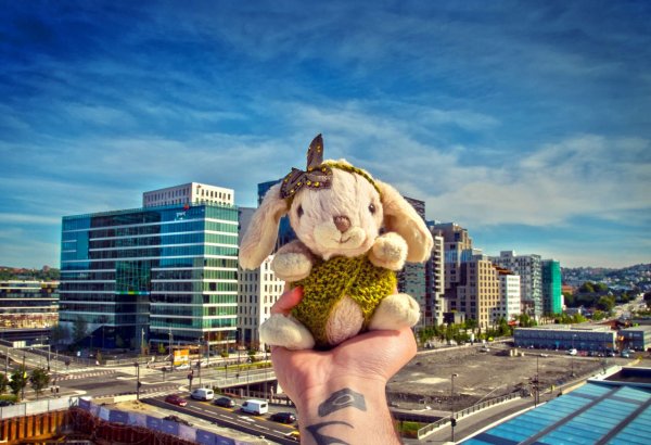 Азербайджанец из Норвегии начал мировой флешмоб в помощь детям Африки