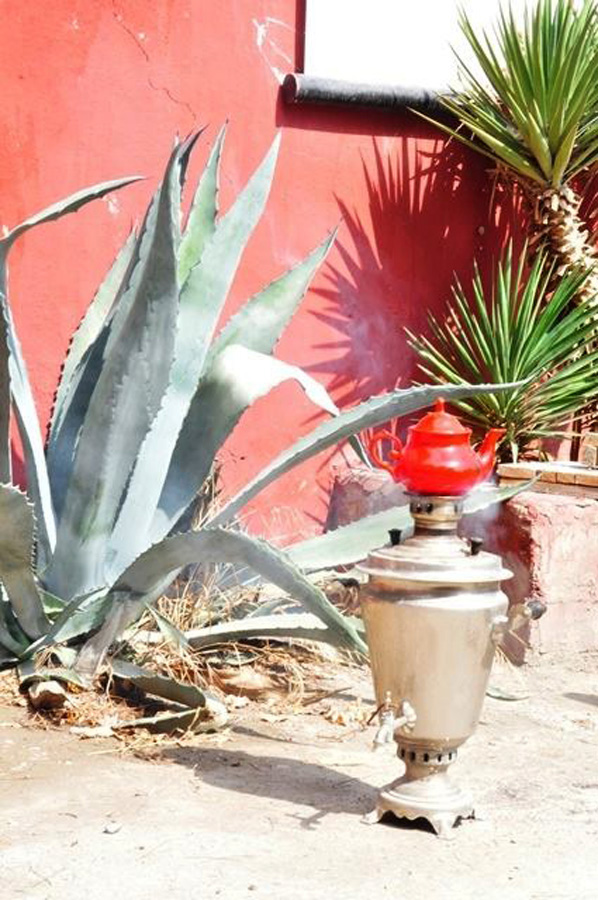 Шашлыки и ароматный чай – под открытым небом Баку (ФОТО)