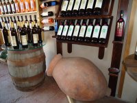 Город Любви глазами азербайджанца - путешествие в Сигнахи (ФОТО)