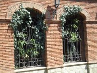 Город Любви глазами азербайджанца - путешествие в Сигнахи (ФОТО)